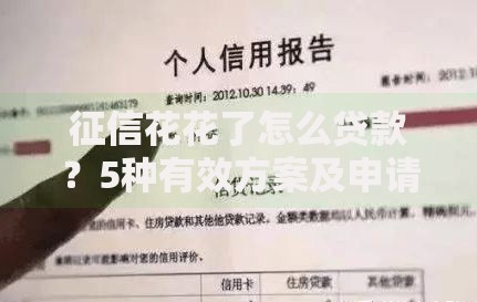 征信花花了怎么贷款？5种有效方案及申请技巧