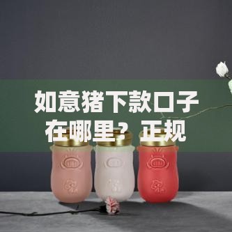 如意猪下款口子在哪里？正规渠道解析与申请流程详解