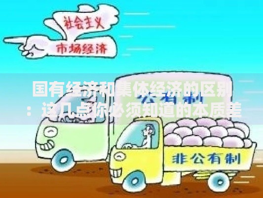 国有经济和集体经济的区别：这几点你必须知道的本质差异