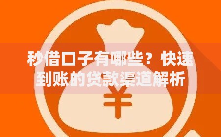 秒借口子有哪些？快速到账的贷款渠道解析