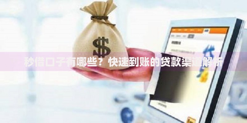 秒借口子有哪些？快速到账的贷款渠道解析