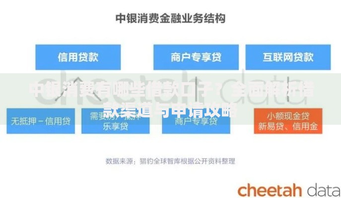 中银消费有哪些借款口子？全面解析借款渠道与申请攻略