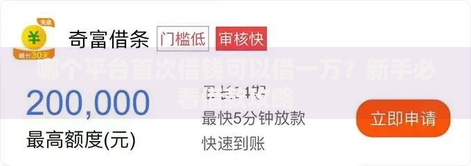 哪个平台首次借钱可以借一万？新手必看借款攻略