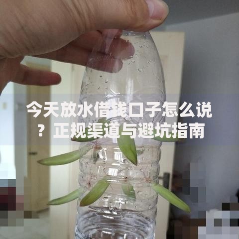 今天放水借钱口子怎么说？正规渠道与避坑指南