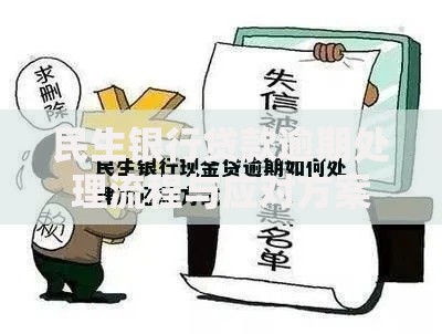 民生银行贷款逾期处理流程与应对方案全解析