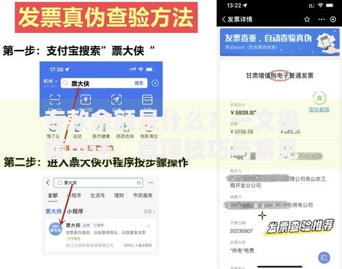 专款余额是什么？一文搞懂用途、管理技巧与常见误区