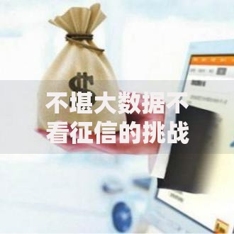 不堪大数据不看征信的挑战：隐藏风险与应对策略
