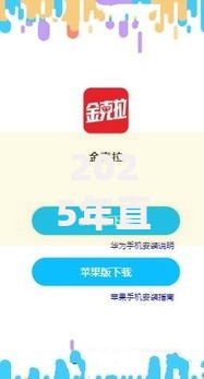 2025年直接放款低门槛征信花：如何申请低息贷款？