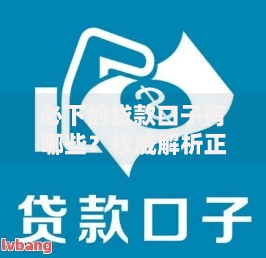 必下的贷款口子有哪些？权威解析正规渠道申请攻略