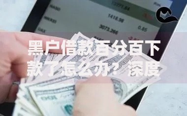 黑户借款百分百下款了怎么办？深度解析风险与应对