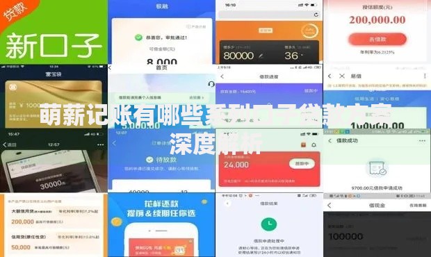 萌薪记账有哪些系列口子贷款方案深度解析