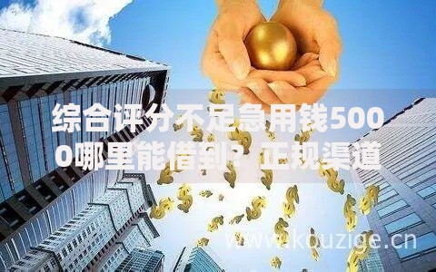 综合评分不足急用钱5000哪里能借到？正规渠道深度解析