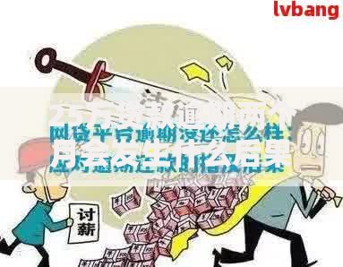 25万贷款逾期两个月会发生什么后果？全面解析应对方案与法律风险