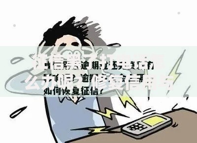 征信黑了打电话怎么办呢？修复信用与贷款申请全攻略