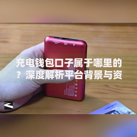 充电钱包口子属于哪里的？深度解析平台背景与资质