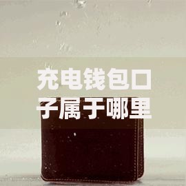 充电钱包口子属于哪里的？深度解析平台背景与资质