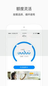 必下王容易下款吗？解析贷款平台审核关键点