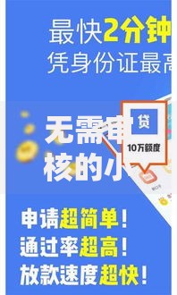 无需审核的小额贷款：快速到账的借款方案解析