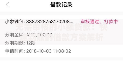 无需审核的小额贷款：快速到账的借款方案解析