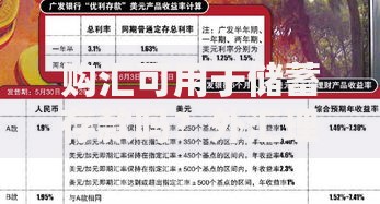 购汇可用于储蓄存款吗？外汇理财的隐藏机会与风险解析