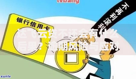 达飞云贷不还会有什么后果？逾期风险与应对措施解析