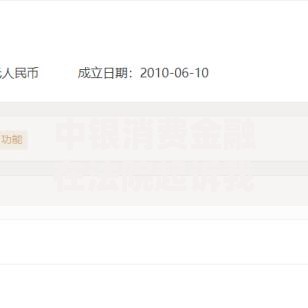 中银消费金融在法院起诉我了如何应对贷款纠纷