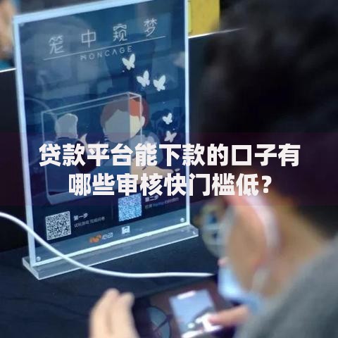 贷款平台能下款的口子有哪些审核快门槛低？