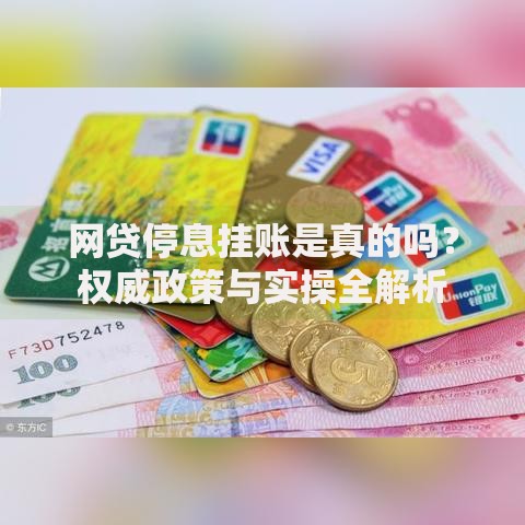 网贷停息挂账是真的吗？权威政策与实操全解析