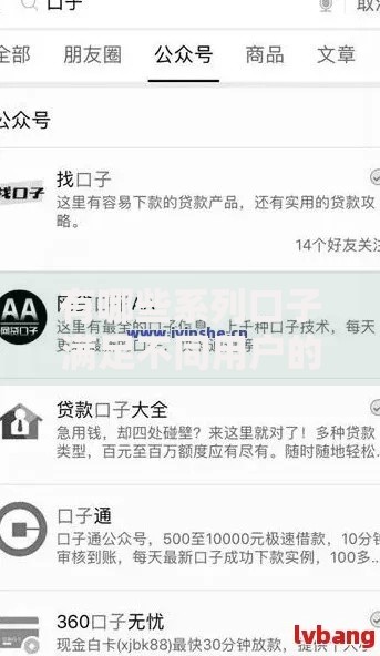 有哪些系列口子满足不同用户的贷款需求