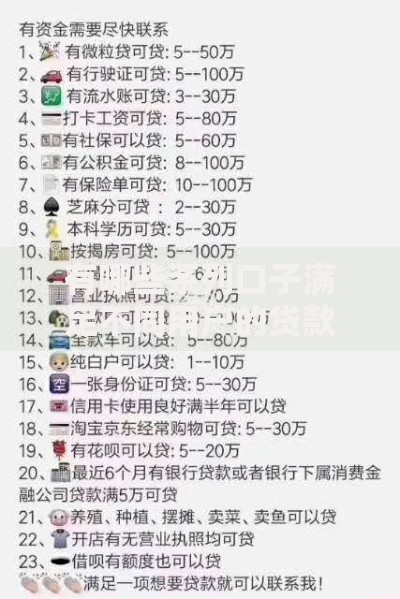 有哪些系列口子满足不同用户的贷款需求