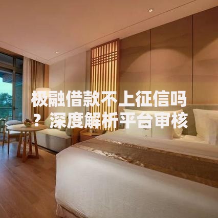 极融借款不上征信吗？深度解析平台审核与征信影响
