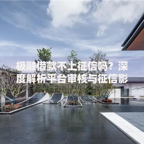 极融借款不上征信吗？深度解析平台审核与征信影响