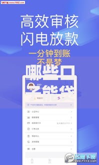 哪些口子能贷款？不同渠道申请条件全解析