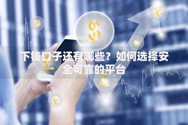 下钱口子还有哪些？如何选择安全可靠的平台
