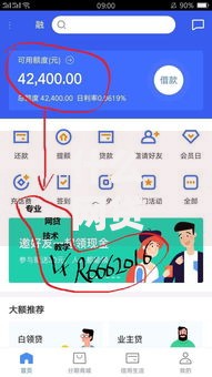 什么网贷口子百分百下款？真的存在吗？权威解析与避坑指南