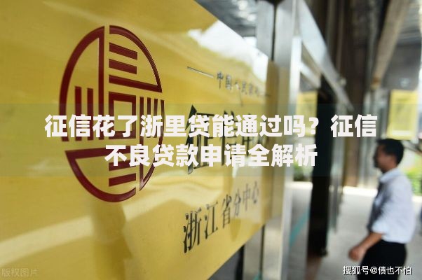 征信花了浙里贷能通过吗？征信不良贷款申请全解析