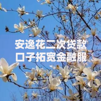 安逸花二次贷款口子拓宽金融服务如何满足用户资金需求？