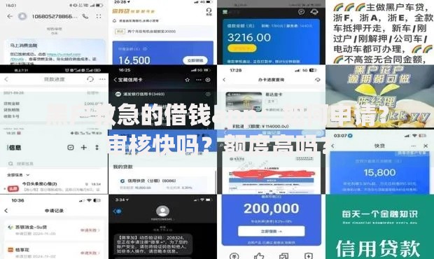 黑户救急的借钱app:如何申请?审核快吗?额度高吗? 黑户救急的借钱app:如何申请?审核快吗?额度高吗?