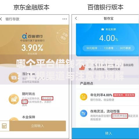 哪个平台借钱不查征信的？正规渠道与注意事项解析