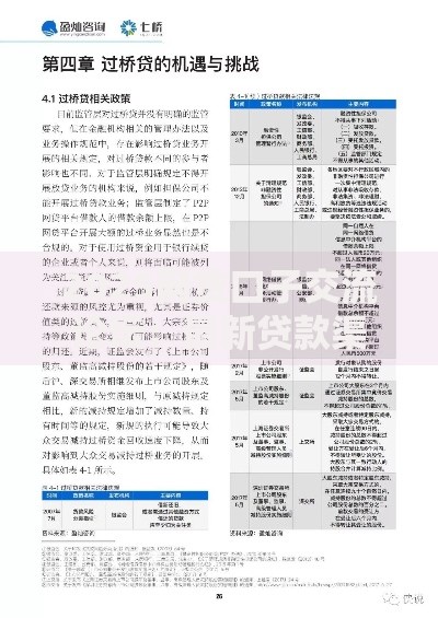 2025网贷口子交流论坛：最新贷款渠道与风控策略解析
