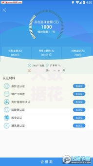 大数据花哪个口子额度高？5大高额度平台深度评测