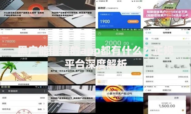 黑户能借款的app都有什么？正规平台深度解析