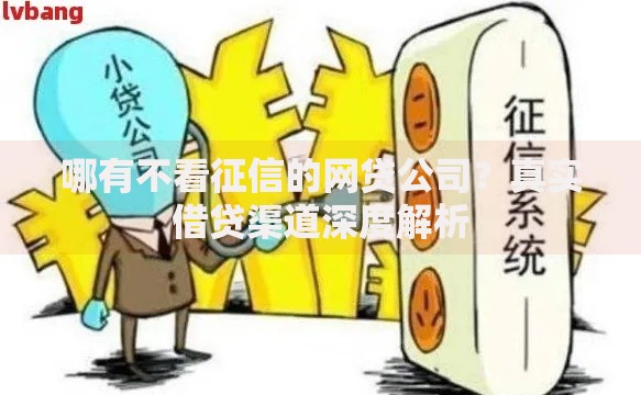 哪有不看征信的网贷公司？真实借贷渠道深度解析