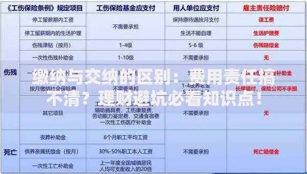缴纳与交纳的区别：费用责任搞不清？理财避坑必看知识点！