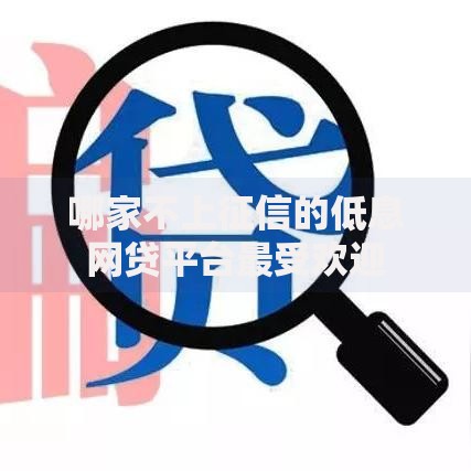 哪家不上征信的低息网贷平台最受欢迎