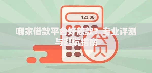 哪家借款平台好放款？专业评测与避坑指南