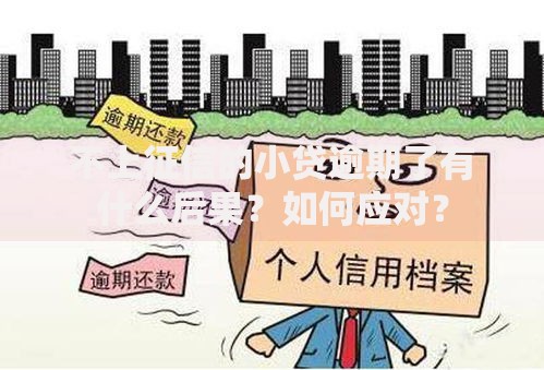 不上征信的小贷逾期了有什么后果？如何应对？