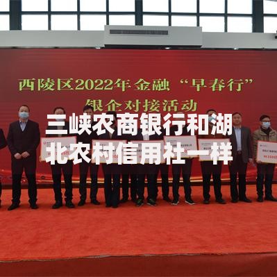 三峡农商银行和湖北农村信用社一样吗？贷款服务对比解析