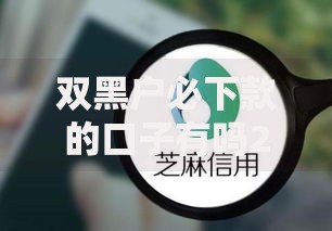 双黑户必下款的口子有吗2025？最新渠道解析