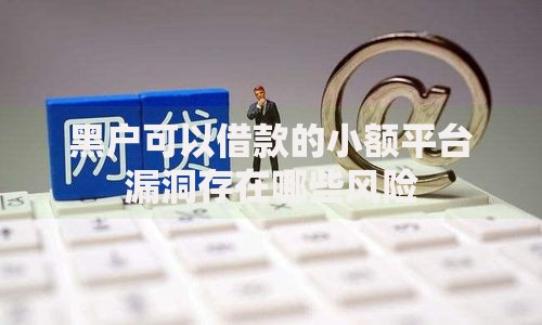黑户可以借款的小额平台漏洞存在哪些风险
